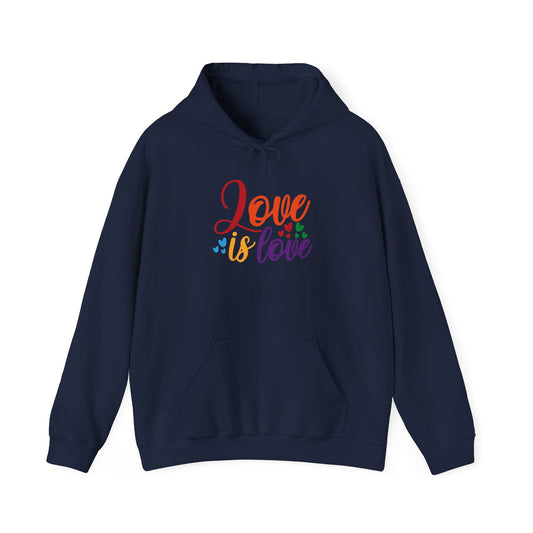 Love is Love Unisex Hooded Sweatshirt