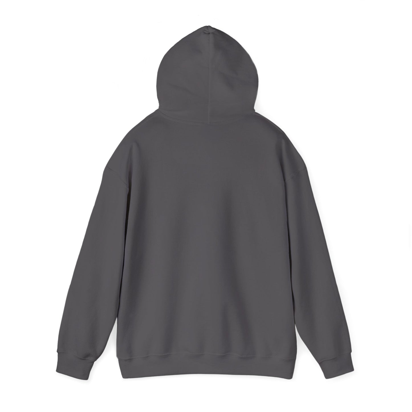 FDT - Butterflies Unisex Hooded Sweatshirt