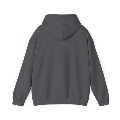 FDT - Butterflies Unisex Hooded Sweatshirt