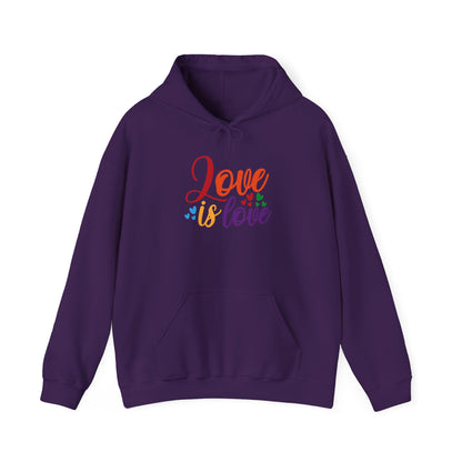 Love is Love Unisex Hooded Sweatshirt