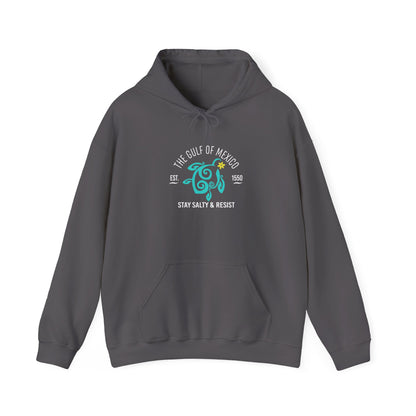 Stay Salty & Resist Unisex Hooded Sweatshirt